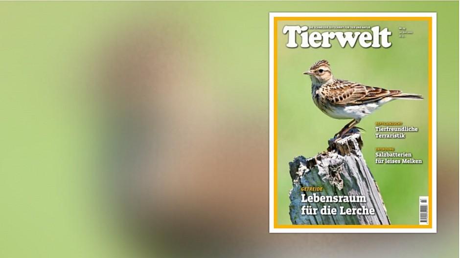 Tierwelt: Fachzeitschrift mit neuer Besitzerin