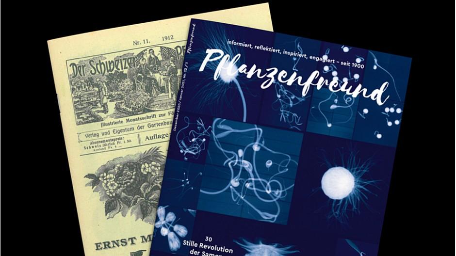 Pflanzenfreund: Neustart nach 121 Jahren