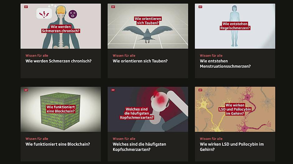 SRF Wissen: Sender stellt Videos zur freien Nutzung bereit