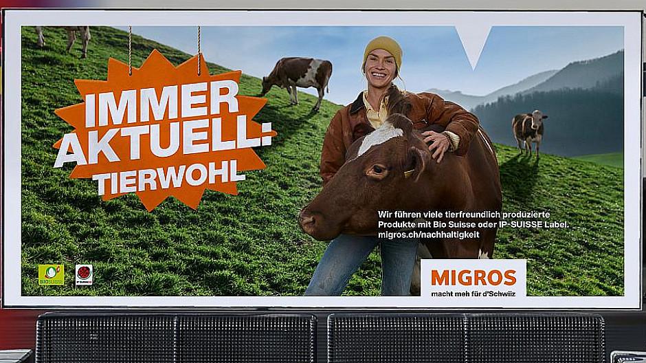 Migros-Werbung: Tierschützer reichen Beschwerde ein