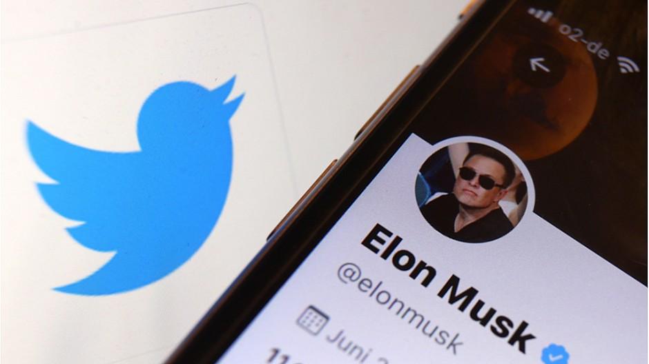 Twitter: Wie Musks Übernahme im Netz kommentiert wird