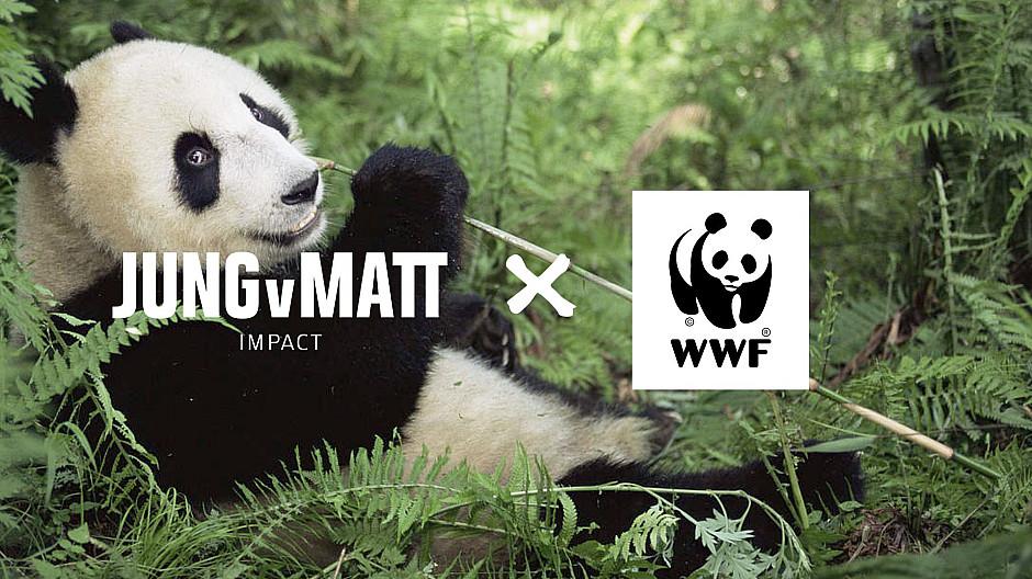 Jung von Matt Impact: WWF Schweiz ist neu im Portfolio